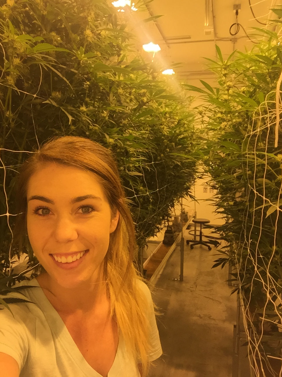 Lacee In a Kali grown flower room