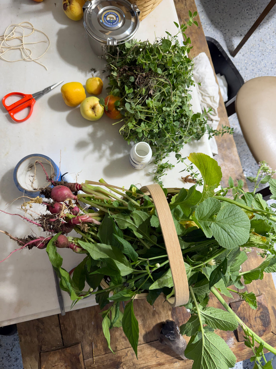 Kalifornia Grown vegetables used for a beneficial bacteria tea 