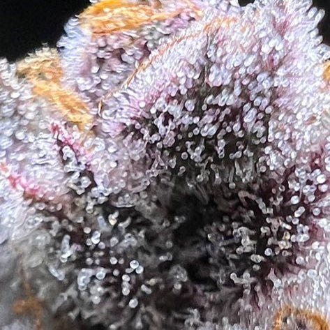Grape Crush